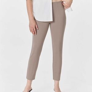 J. Jill Taupe Ankle Pants